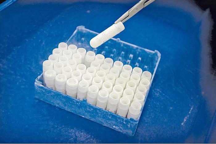 Sperm donation in Moscow