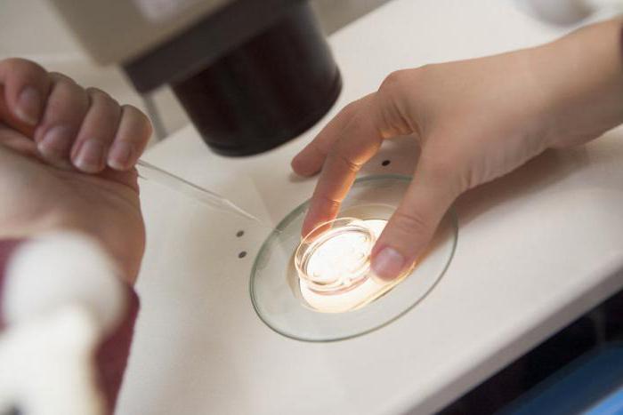 Church Position on Sperm Donation