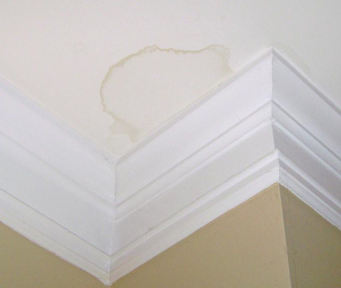 The tenants flooded the neighbors below what to do