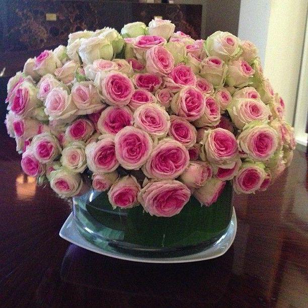 the most expensive flowers