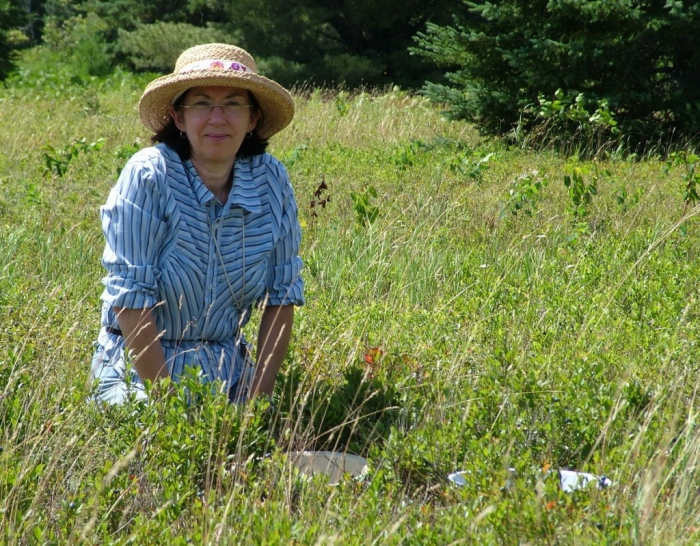 summer business ideas for quick seasonal earnings