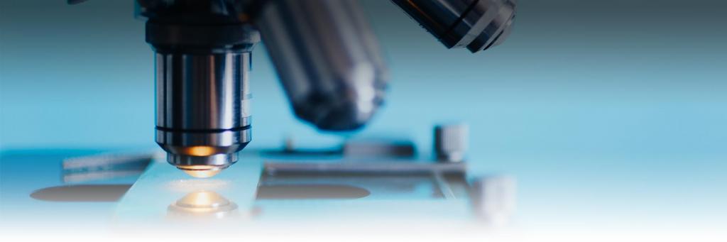 examination of the limitation of document production