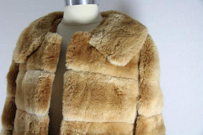 the most expensive fur coat from which photo