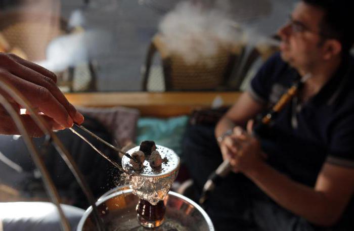 tobacco for hookah species