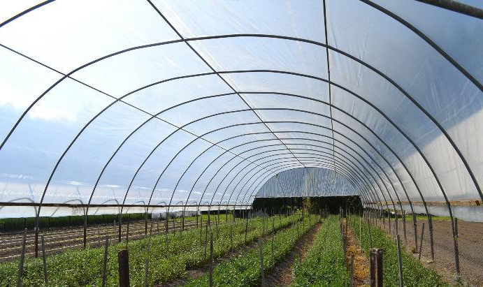 greenhouse manufacturing business