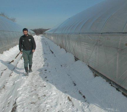 winter greenhouse business plan