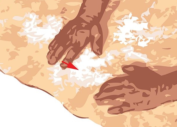 fur processing at home