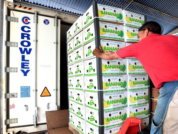 banana producer country