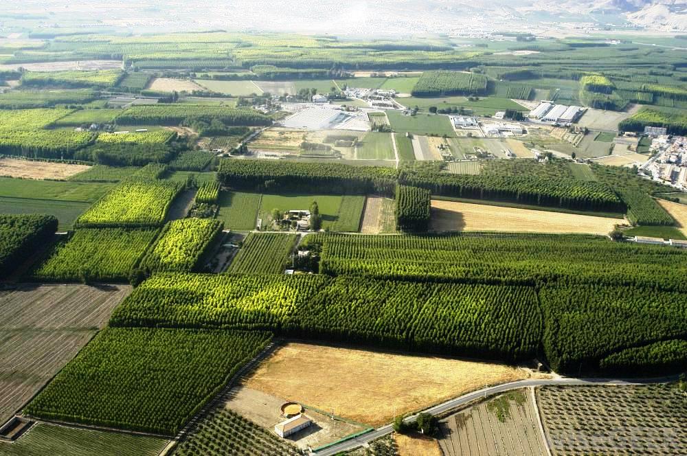 resolve a dispute in court