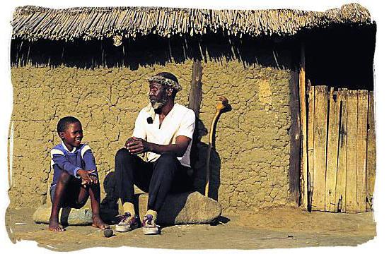 state language of south africa