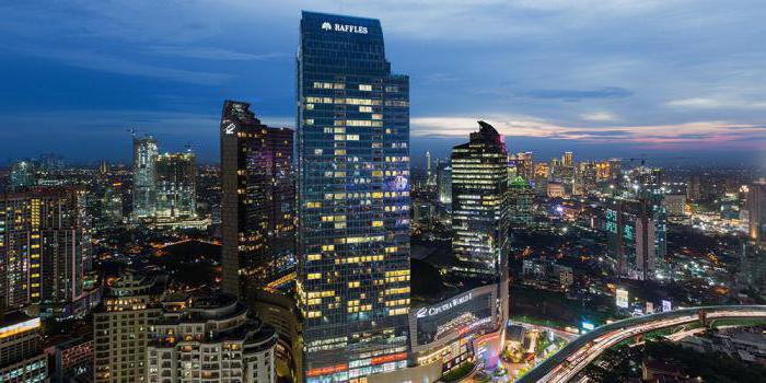 the largest metropolitan areas in the world