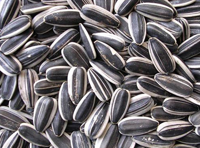 fried sunflower seed production