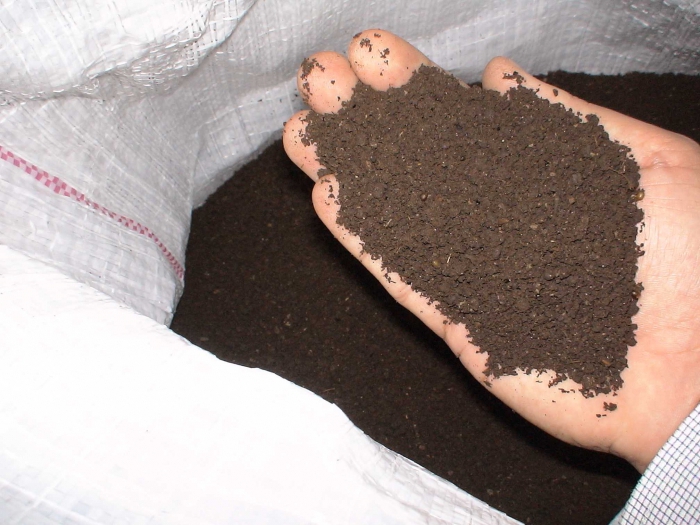 biohumus production business plan