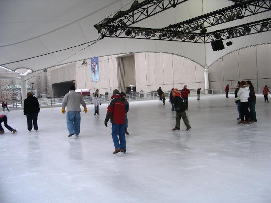 ice rink cost