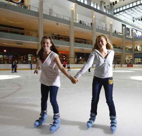 indoor ice rink business plan