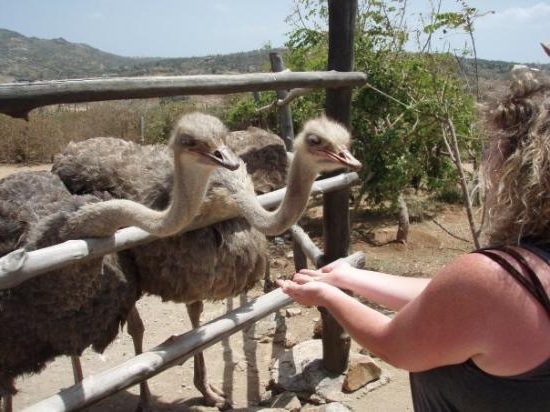 farming as a business