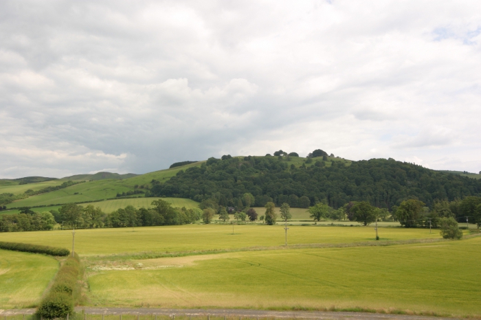 land tax for seniors