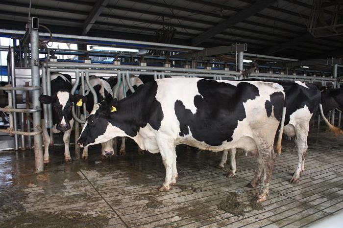 agriculture professions list