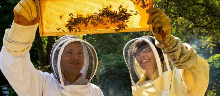 profession related to agriculture