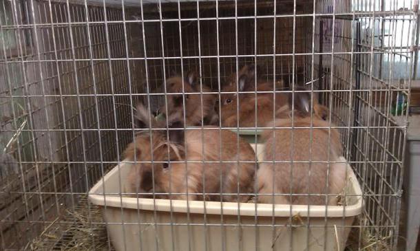 agriculture professions examples