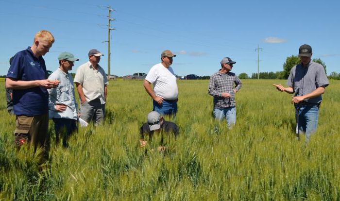 agroclimatic conditions favorable for growing wheat