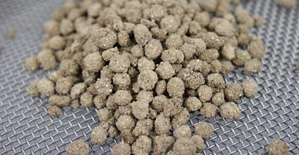 bacteria for processing manure