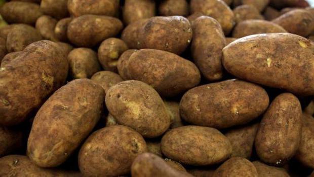 average potato yield from 1 ha