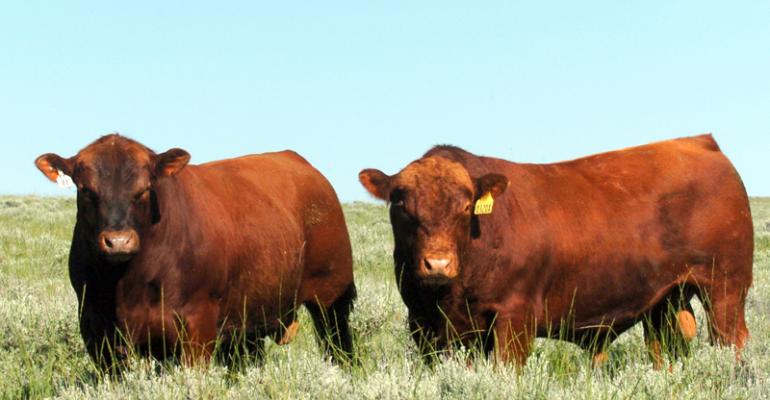 Agriculture of the Sverdlovsk region