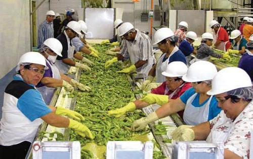 structural frictional cyclical unemployment