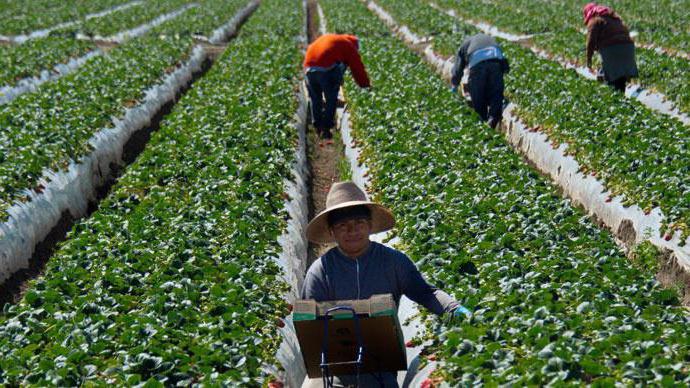 cyclical unemployment is equal to