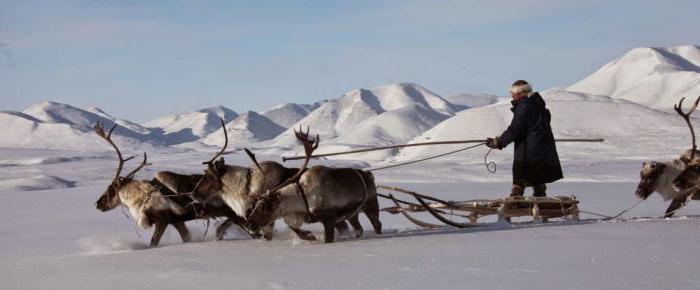 sectors of the economy