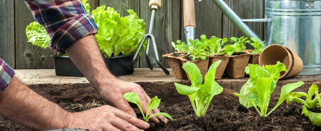 janitor's responsibility