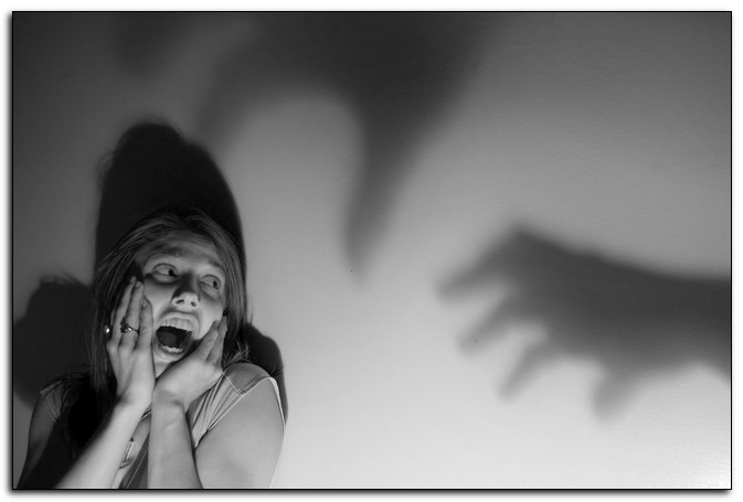 electronic citizen rf reviews