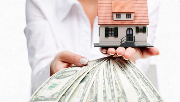 loan from the founder