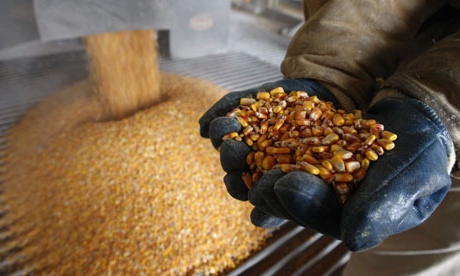 alcohol production technology