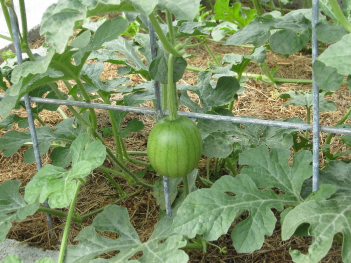 How to open a business