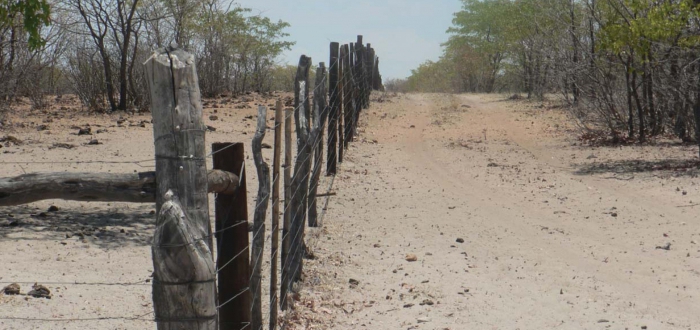 Land for large families law