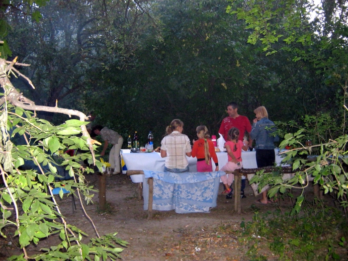 Large families of Moscow land