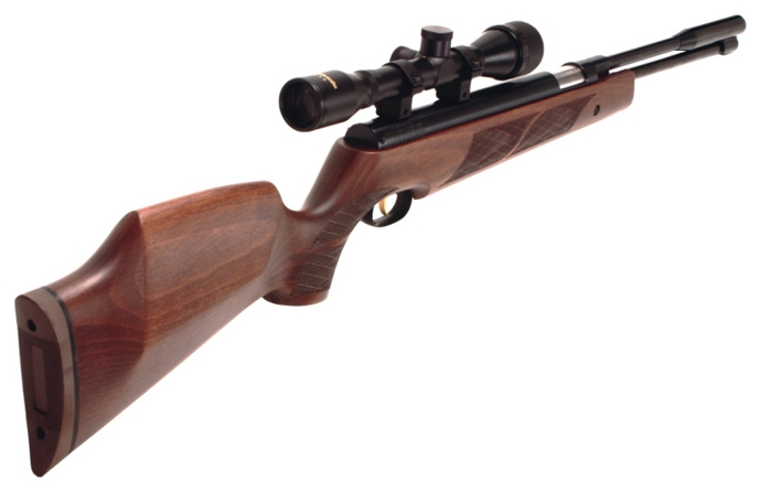 weapon license renewal