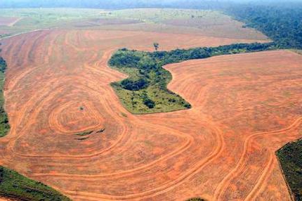 deforestation problem