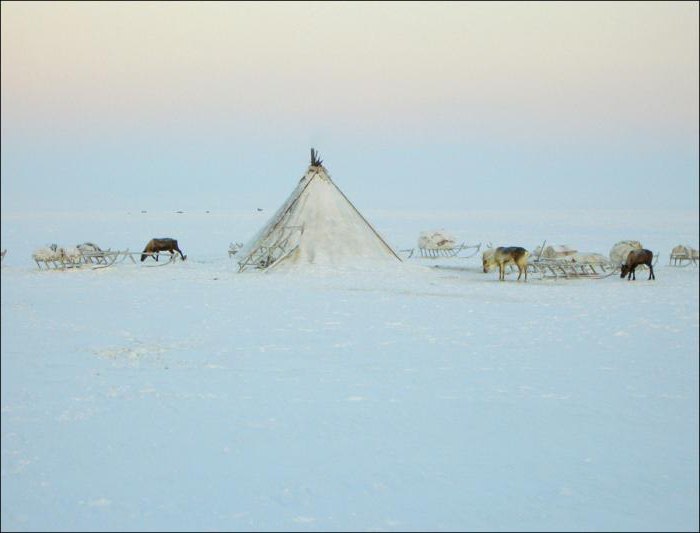 1 climatic zone of Russia