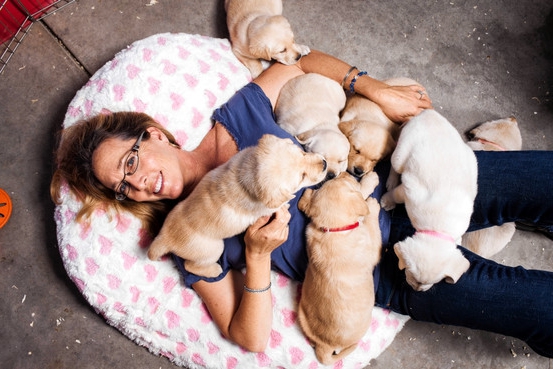 how to get a dog kennel