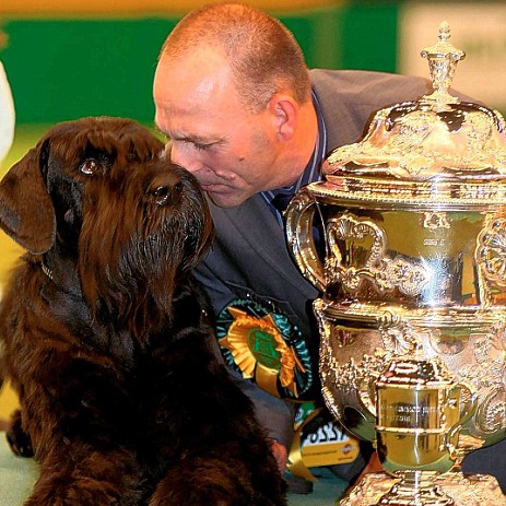 nursery as a business