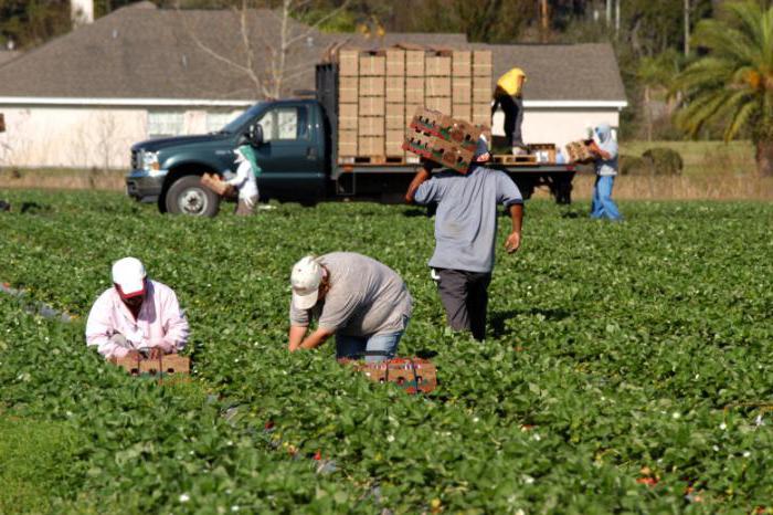 guest workers in Moscow