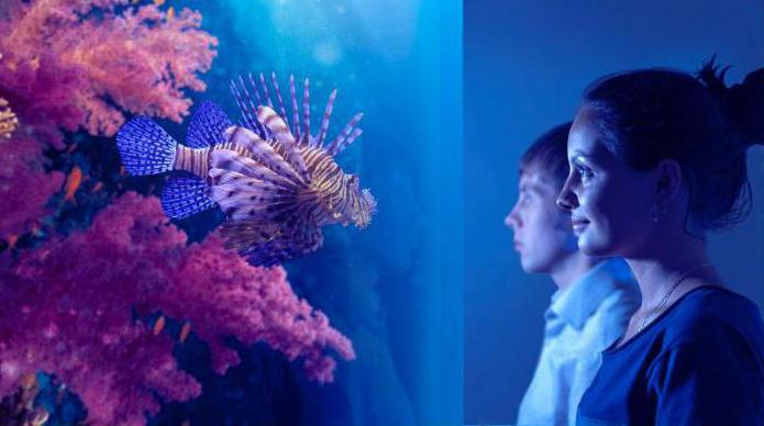 the largest aquarium in Moscow