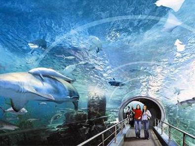 The largest aquarium in Moscow at vdnh