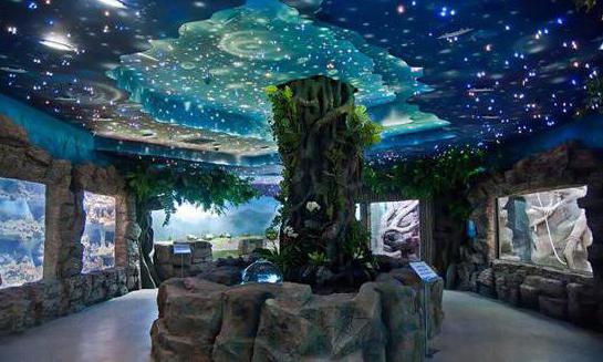 The largest aquarium in Moscow Rio