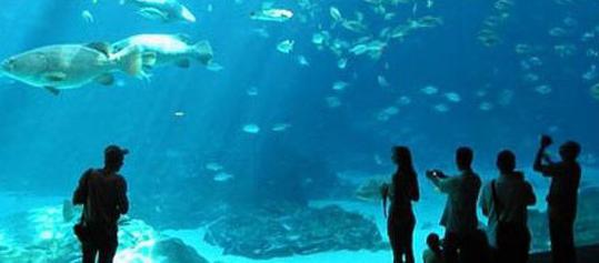 largest aquarium in moscow reviews