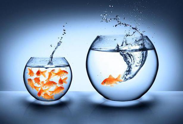 channels of social mobility