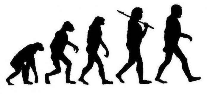 horizontal social mobility